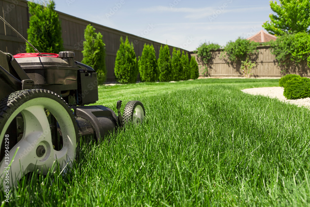 Lawn mower on green grass