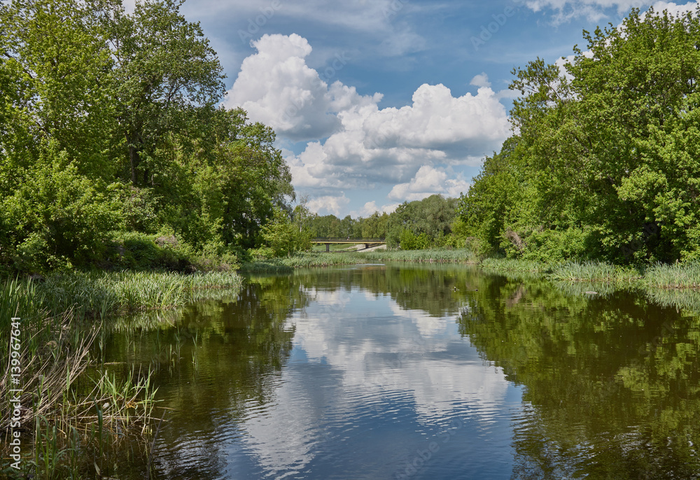 Sunny summer morning on the Uda river. Kharkov