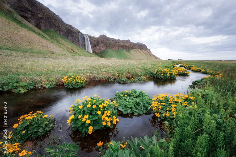 Seljalandfoss