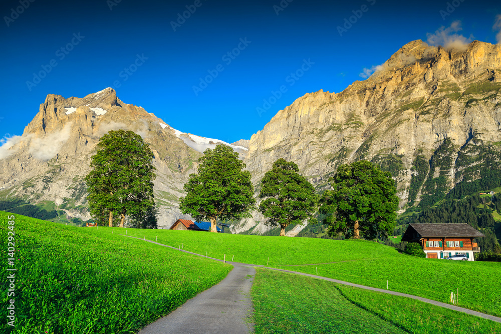 Stunning orderly green field with high snowy mountains, Grindelwald, Switzerland