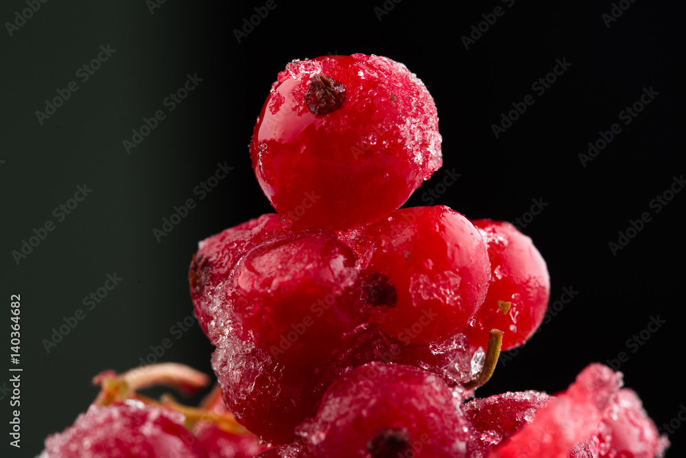 frozen berries red currant, macro