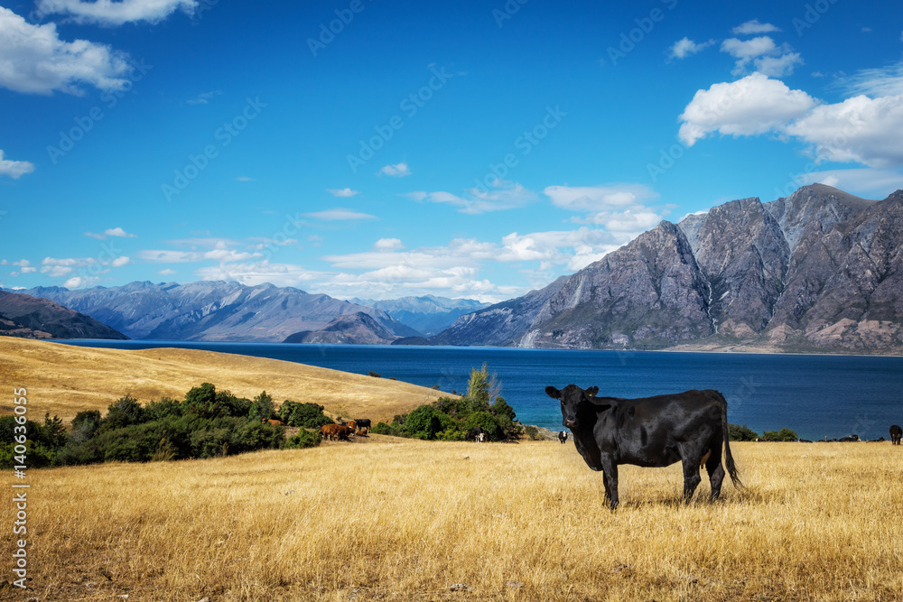 beautiful golden pasture with animal near river