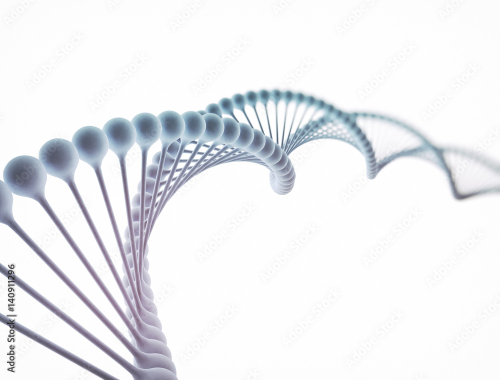 DNA isolated on white background