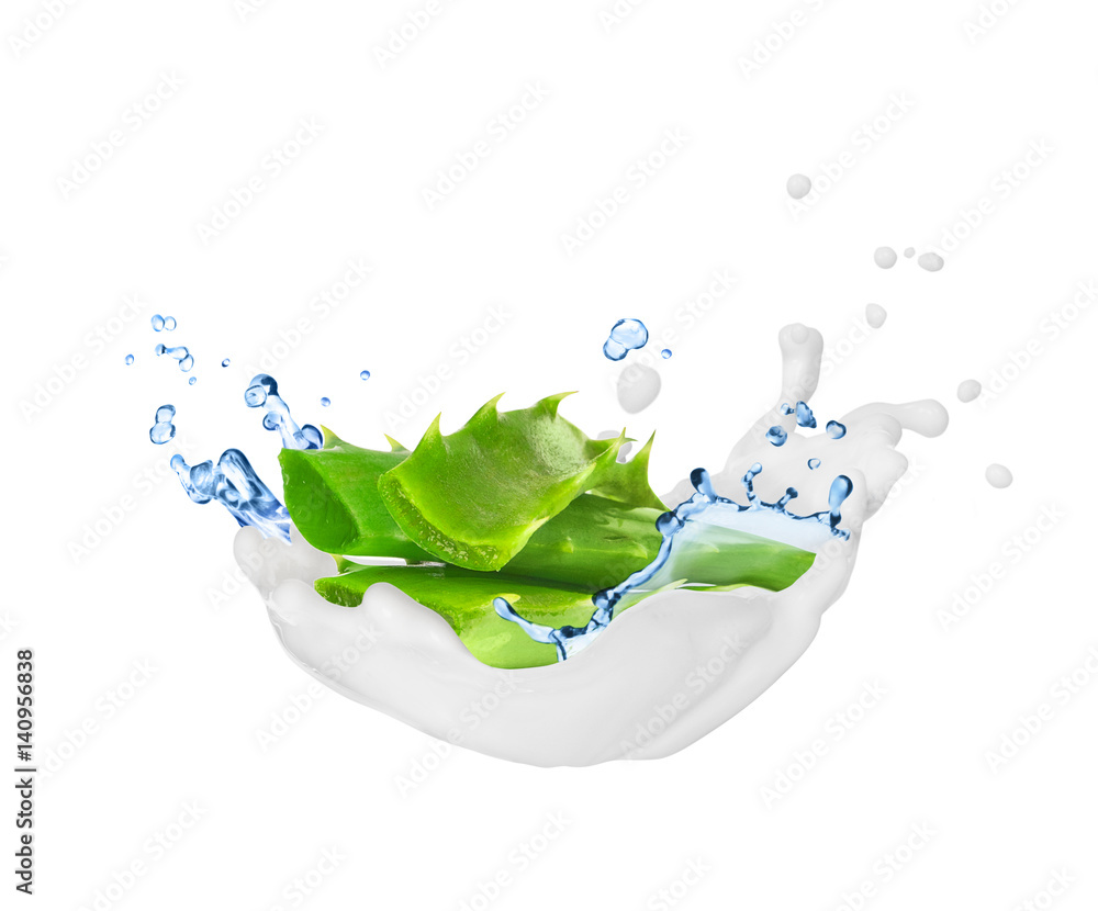 Aloe vera with splashes of cream and water, isolated on white background