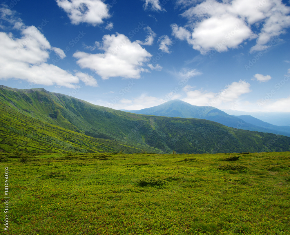 夏日山景