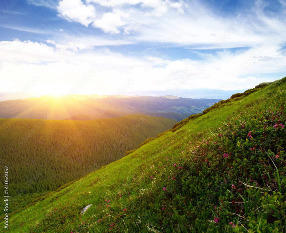 Mountain landscape on sun