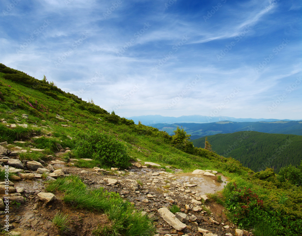 Mountain landscape in summer