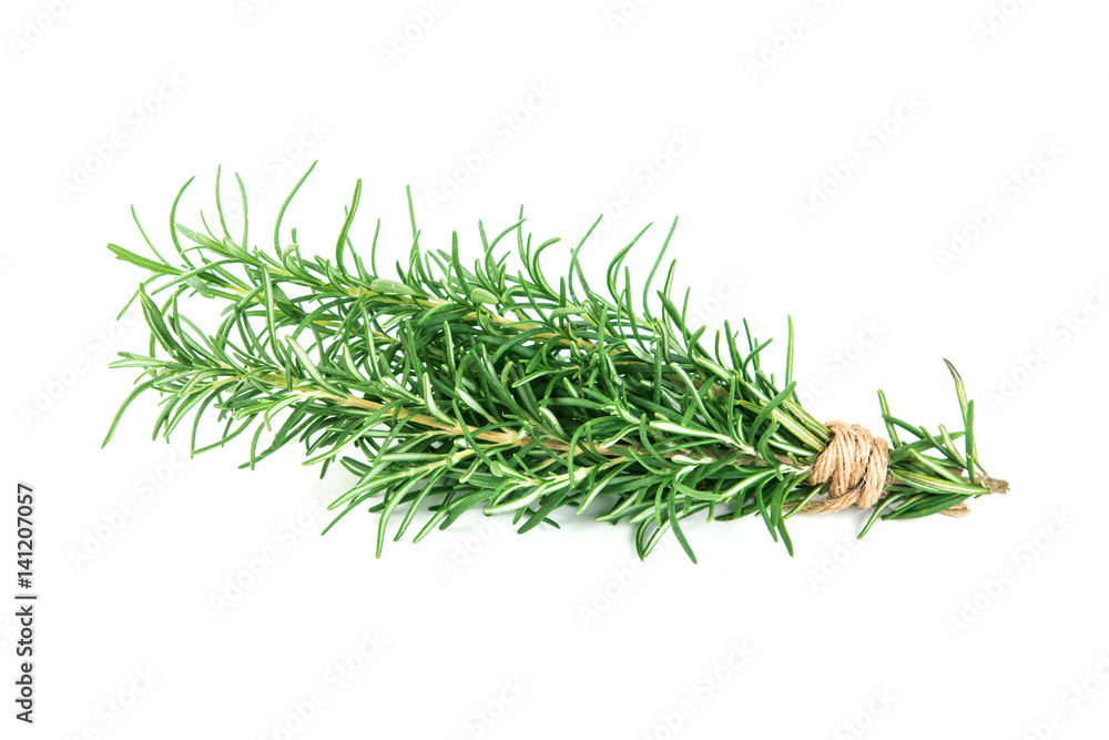 Rosemary bound on a white background