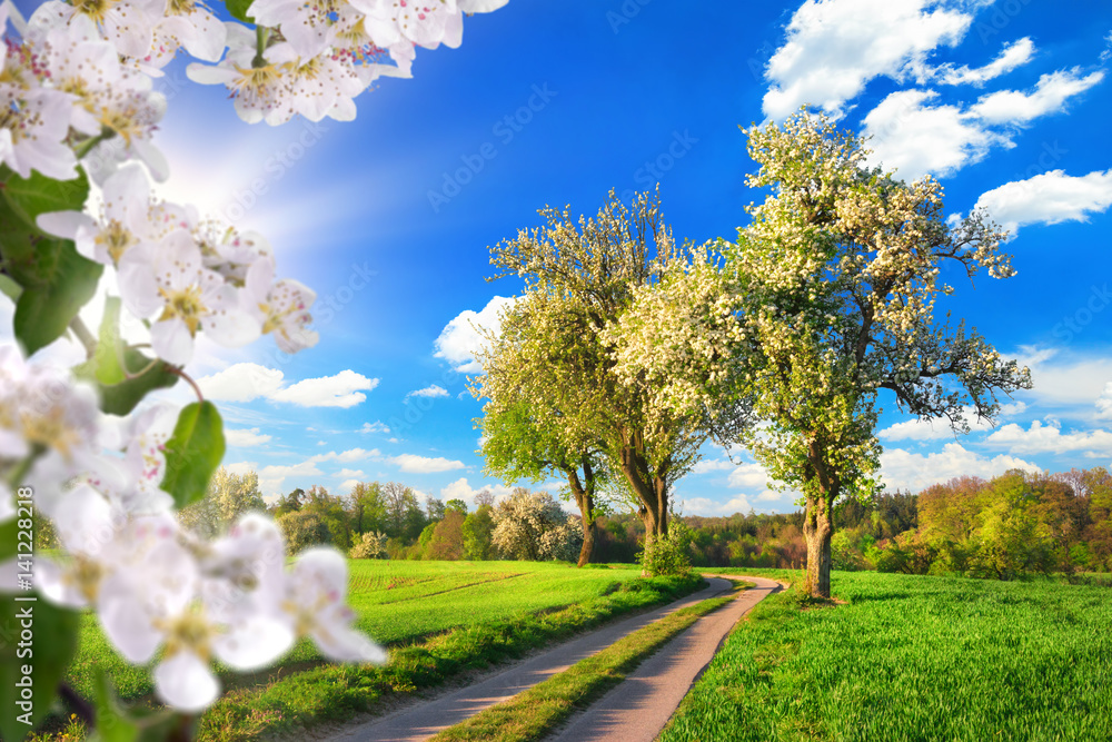 Ein Paradies im Frühling, idyllische Landschaft mit Blüten, Bäumen, Wiese, blauem Himmel und Sonne