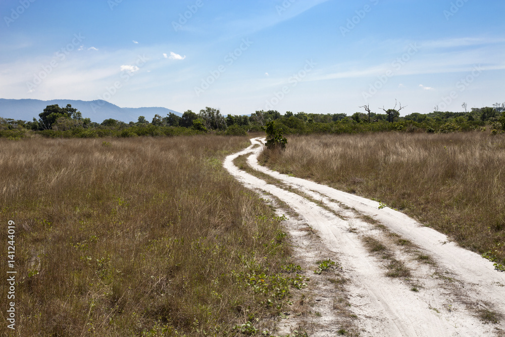 road in tropical forest and blue sky.