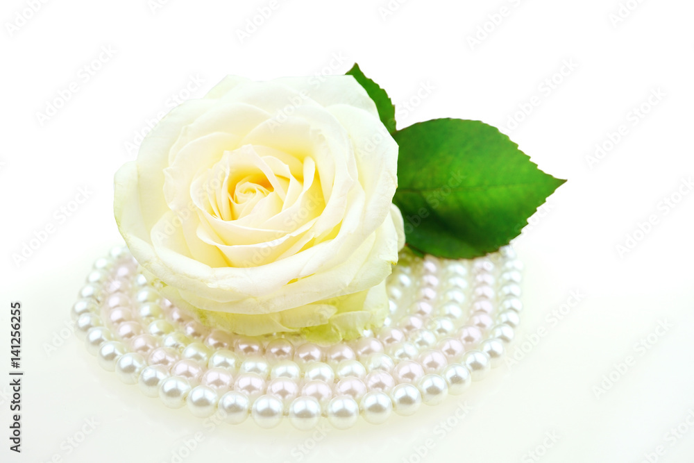 Beautiful white rose with green leaf on a pearl pink necklace lined in circle isolated on white back