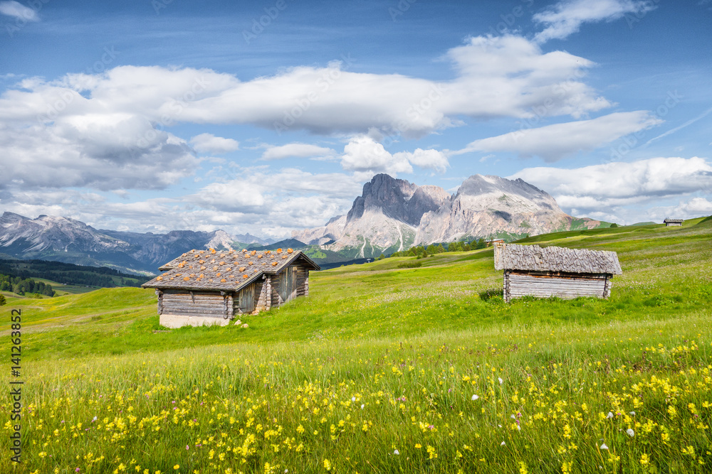 Alpe di Siusi，Dolomites，南蒂罗尔，意大利