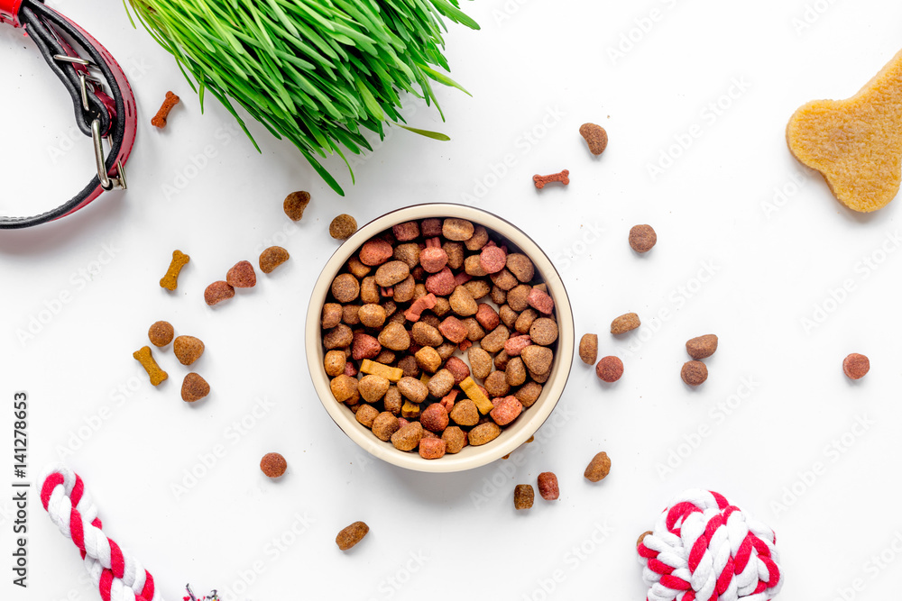 dry dog food in bowl on white background top view