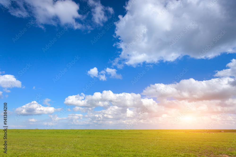 Beautiful landscape with green grass field and bright blue sky with clouds at sunset in spring. Colo