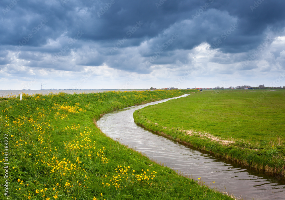 Beautiful landscape with green grass field, flowers, pond and cloudy blue sky at sunset in spring. C