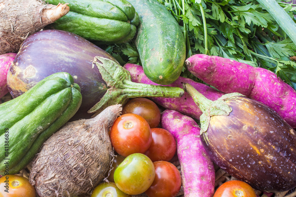 Fresh Organic Vegetables