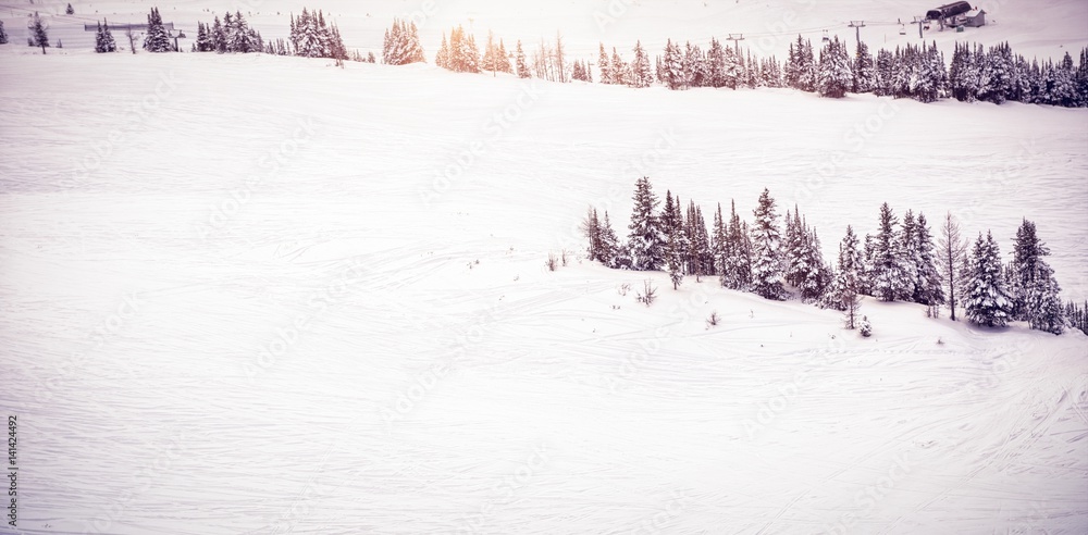 Snow covered landscape during winter