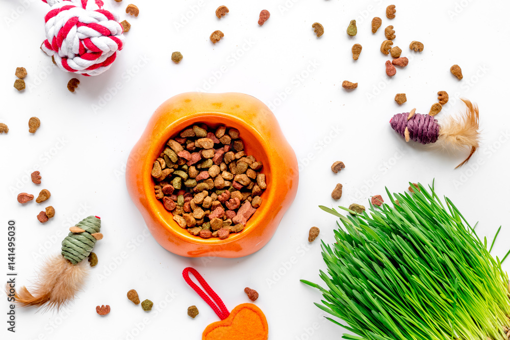 dry cat food in bowl on white background top view