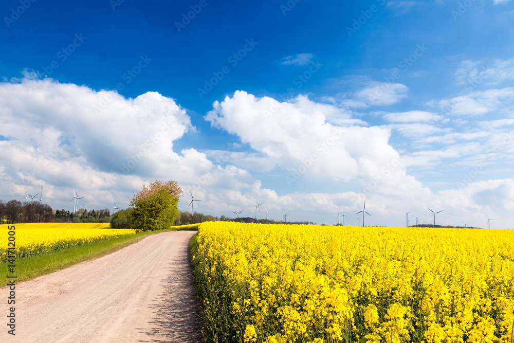 Energiewende in der Landwirtschaft