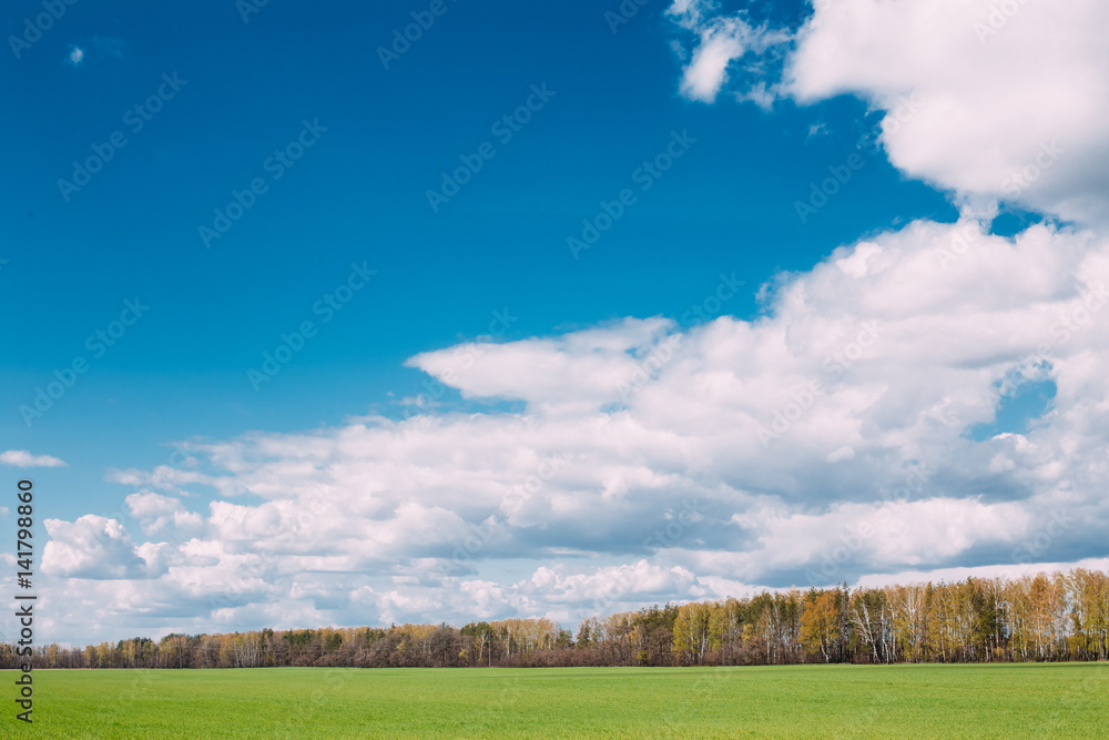 Countryside Rural Field Or Meadow Landscape With Green Grass On 