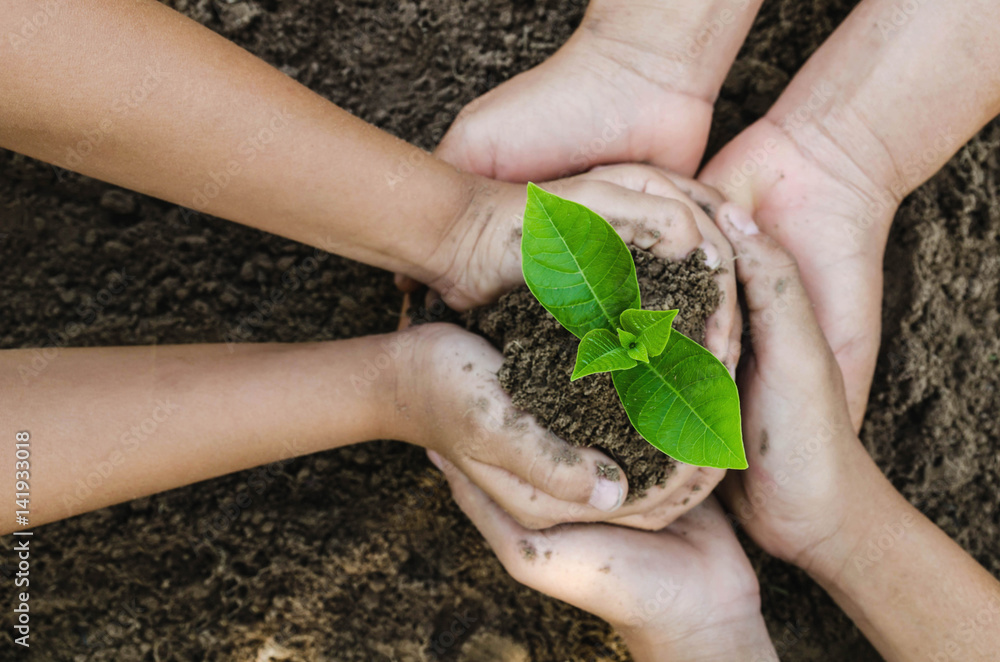 Growing concept eco Group hand  children planting together on soil backgroud