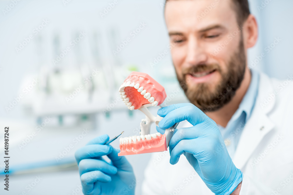 Handsome dentist showing artificial jaw at the dental office