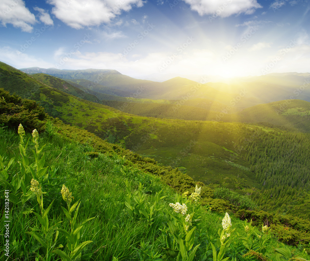 Mountain landscape on sun