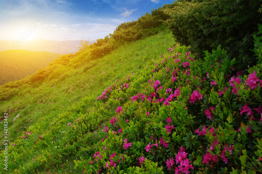 Mountain landscape on sun