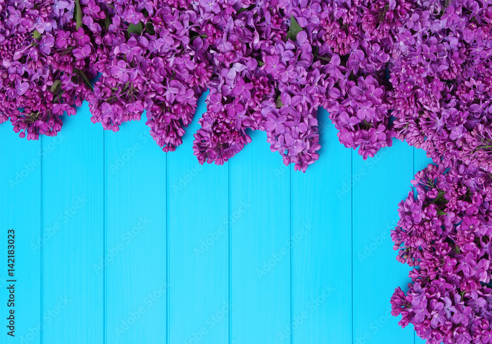  Lilac flowers on blue wooden background.