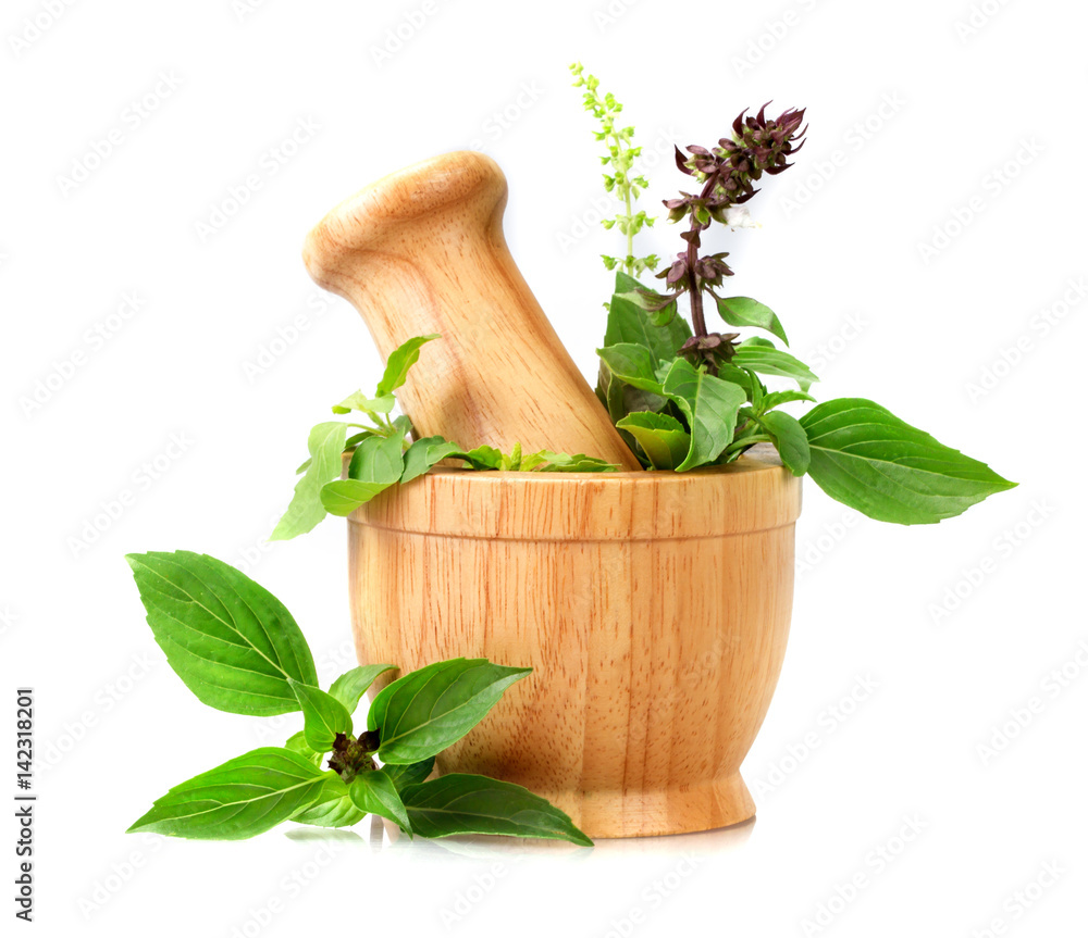 Sweet basil and Holy basil leaves with flower in wooden mortar on white background