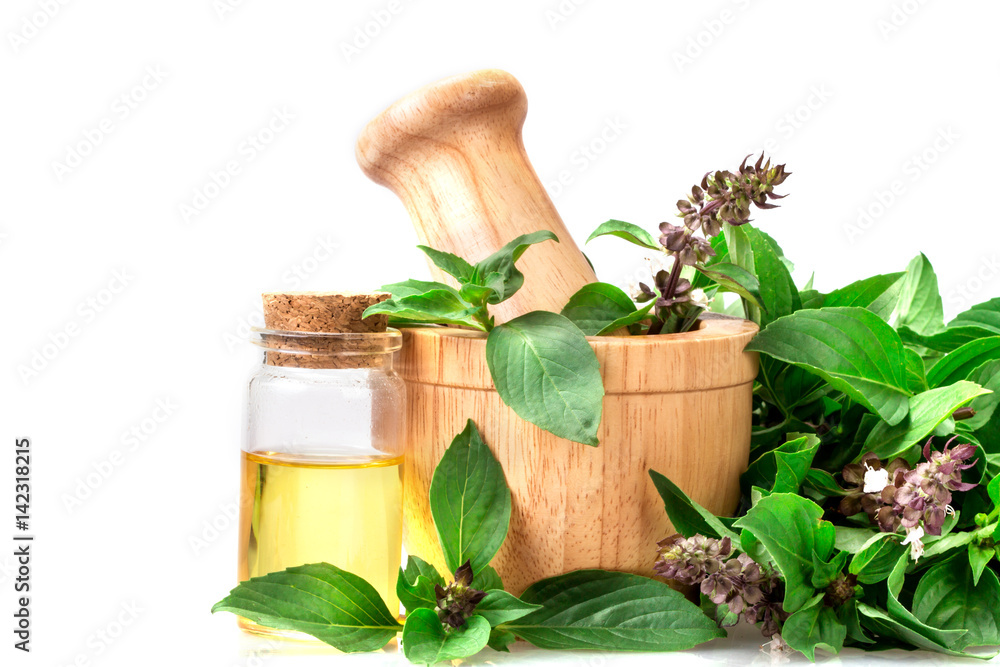 Sweet basil leaves with flower  in wooden mortar and oil herb on white background