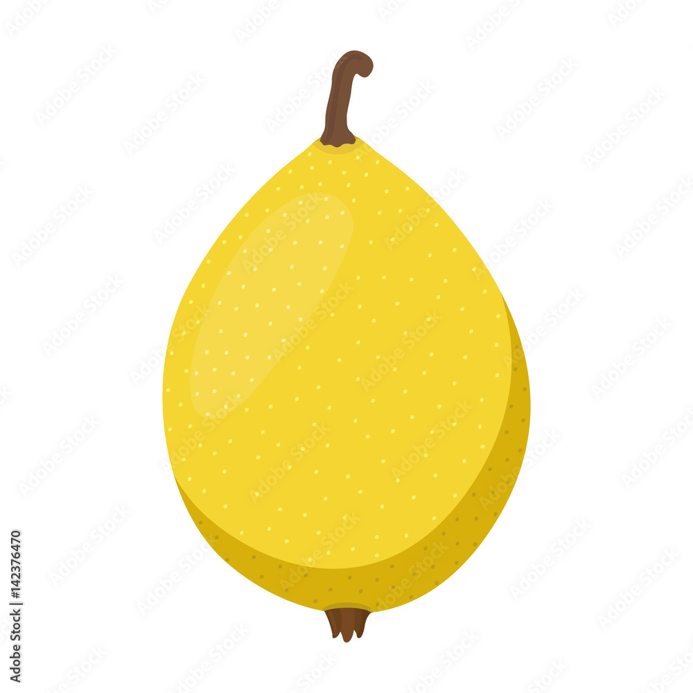 Marula，异国水果。新鲜素食营养。平面风格。卡通插图。