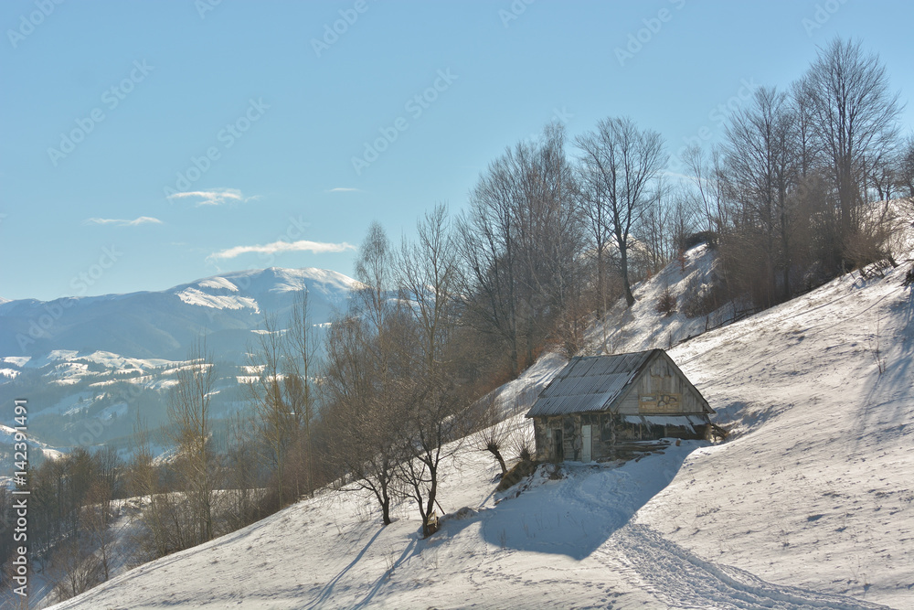 Beautiful winter mountain landscape with snowflakes in frosty winter day. Carpathian wild mountains.