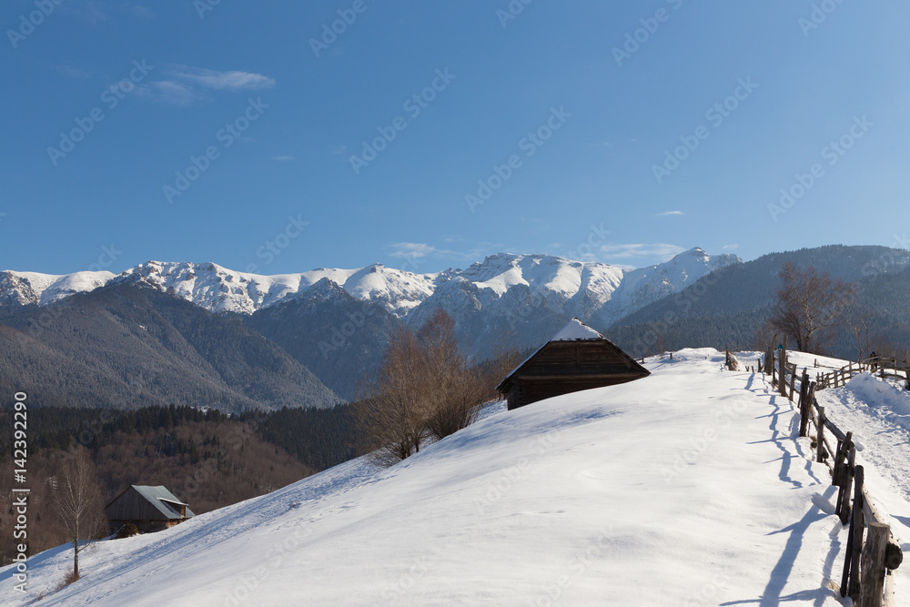 Beautiful winter mountain landscape with snowflakes in frosty winter day. Carpathian wild mountains.