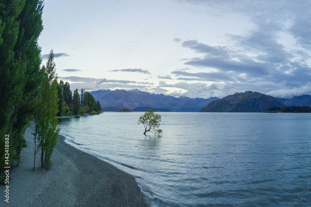 Aerial view of The Wanaka Tree, Lake Wanaka, Newzealand