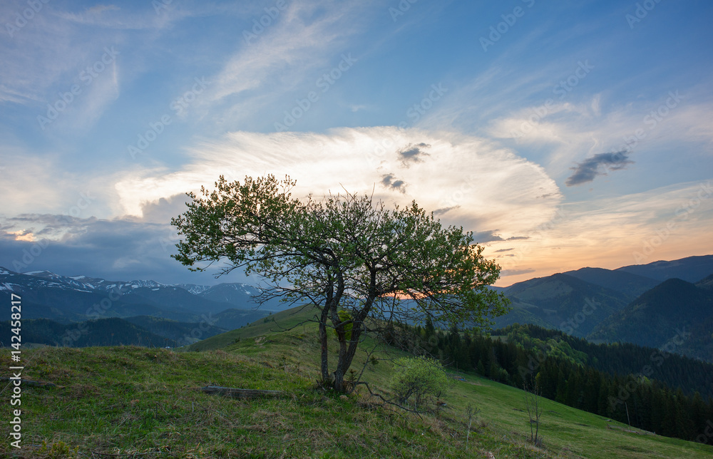 Dramatic sunset in the mountains