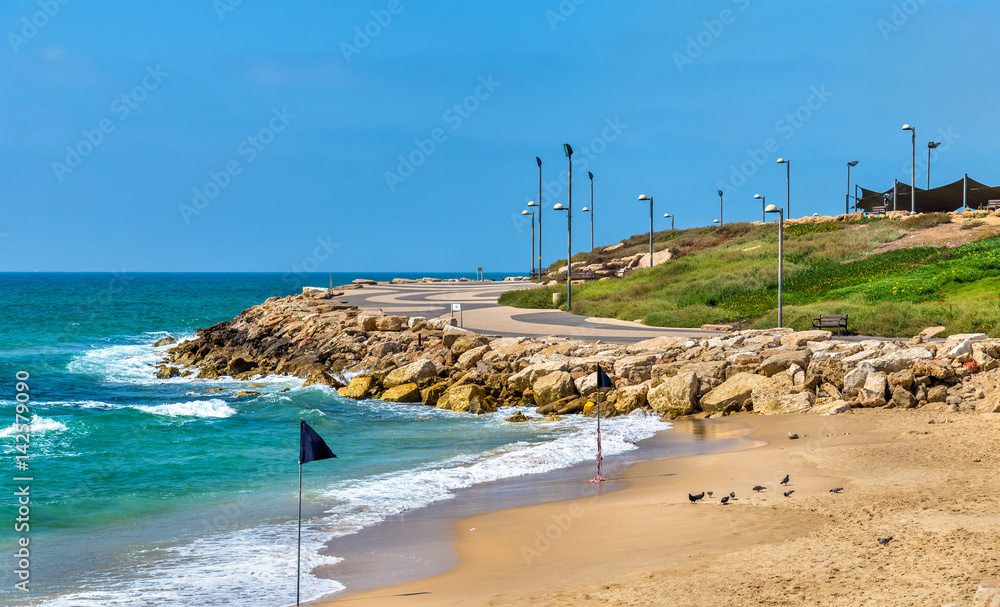 特拉维夫地中海海滨景观