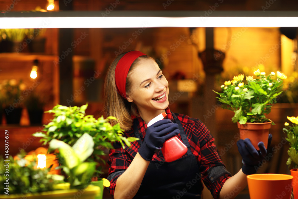 Happy woman gardener transplants and watering flowers