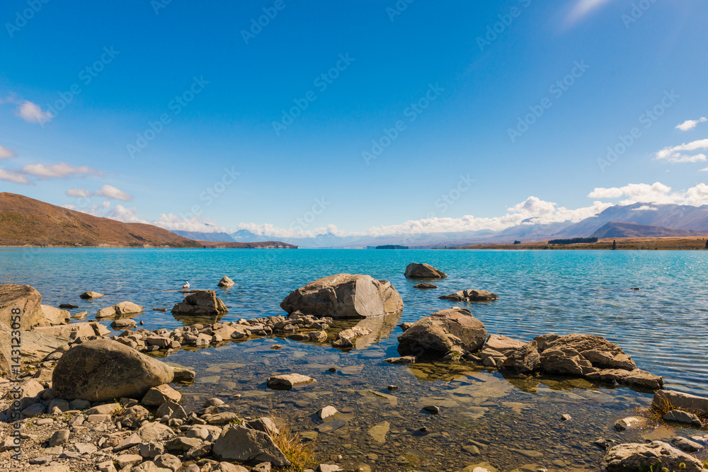 美丽的特卡波湖，新西兰