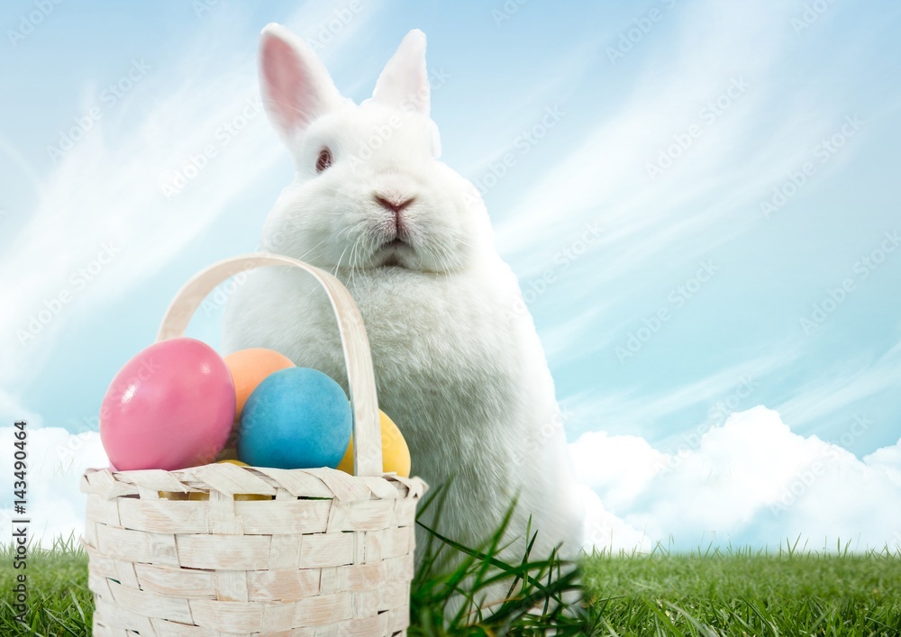 Easter rabbit with basket of eggs in front of blue sky