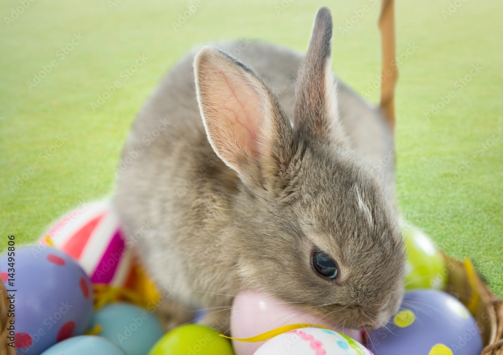 Rabbit with eggs on the basket.