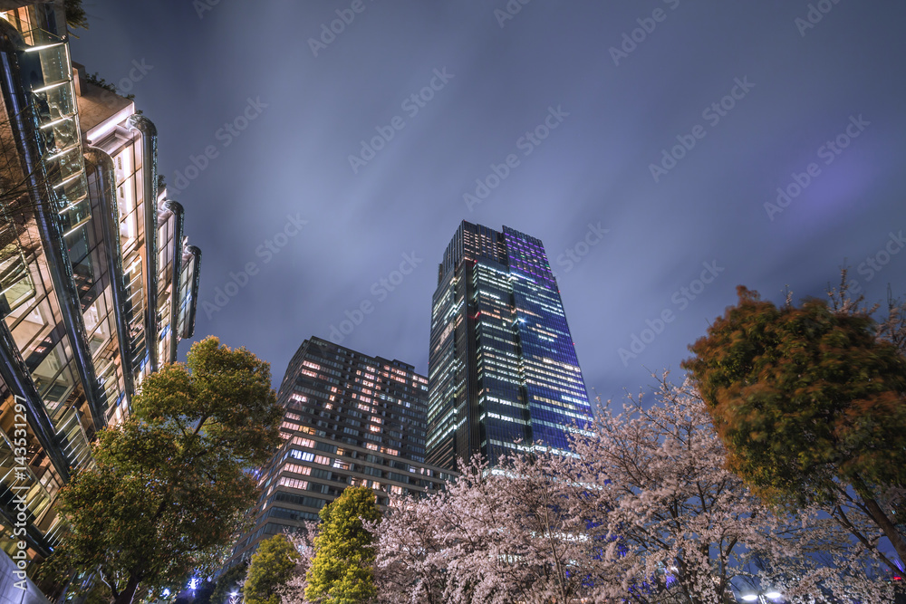 東京の夜桜