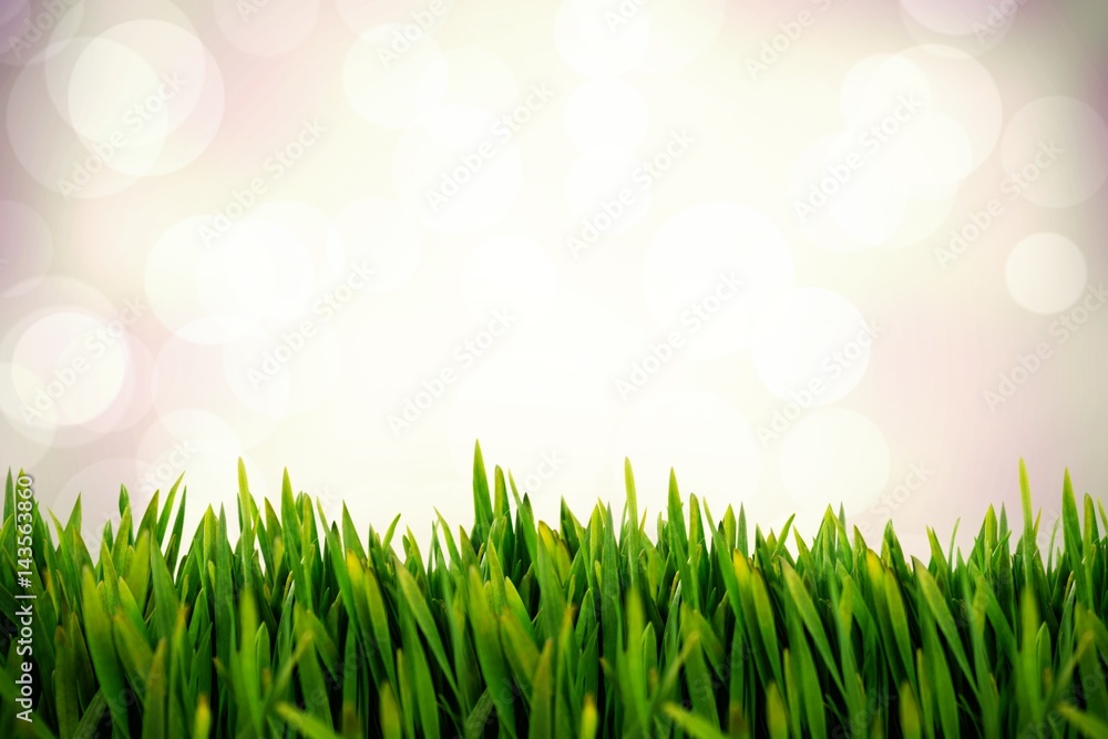 Composite image of grass growing outdoors