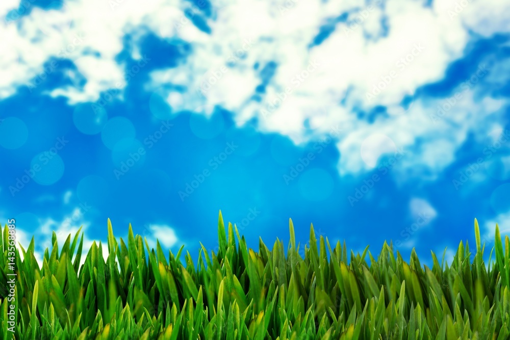 Composite image of grass growing outdoors