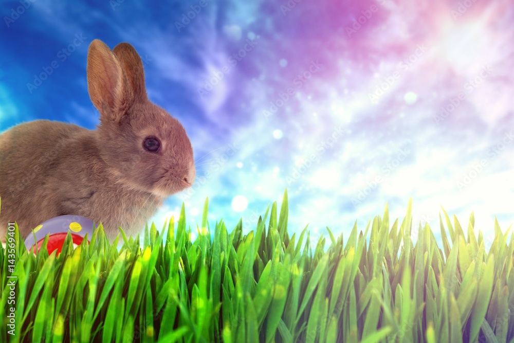 Composite image of bunny with polka dot easter eggs