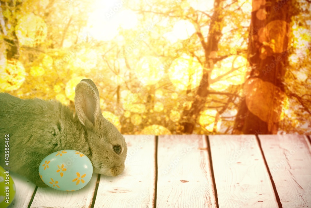 Composite image of bunny with floral pattern easter egg