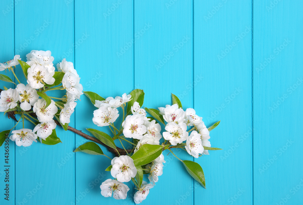  Spring flowers on wood