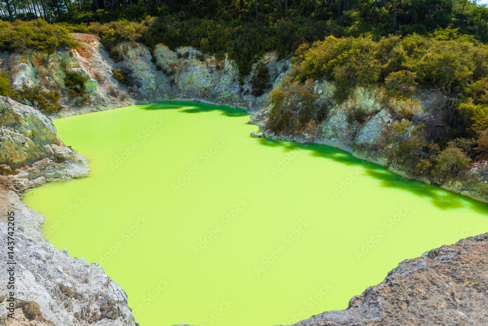 香槟池中的沸水-新西兰Wai-O-Tapu