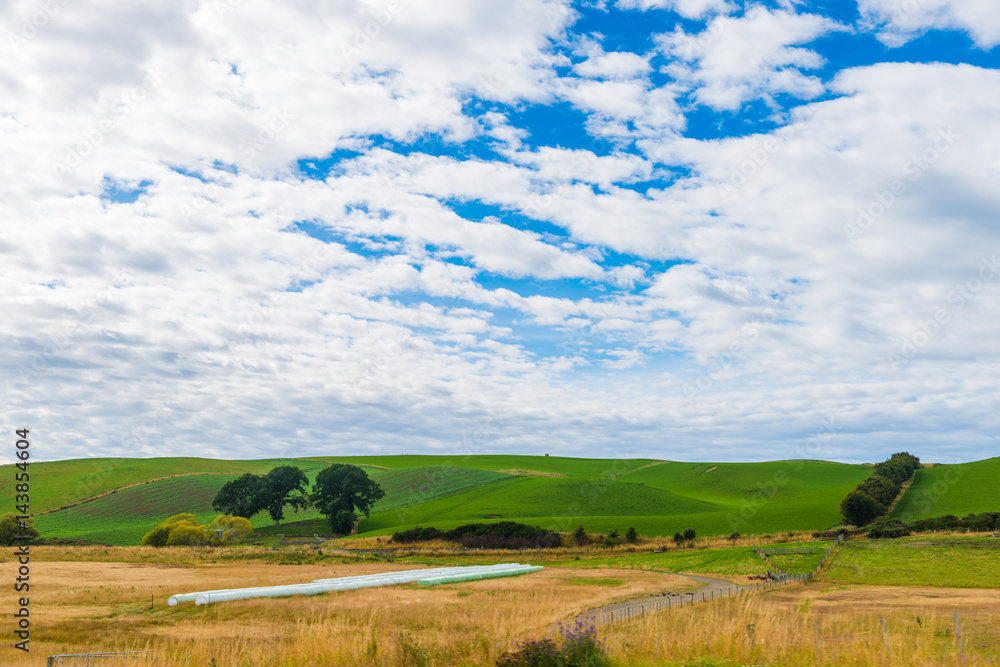 view of Green hills and valleys of the South Island, New Zealand