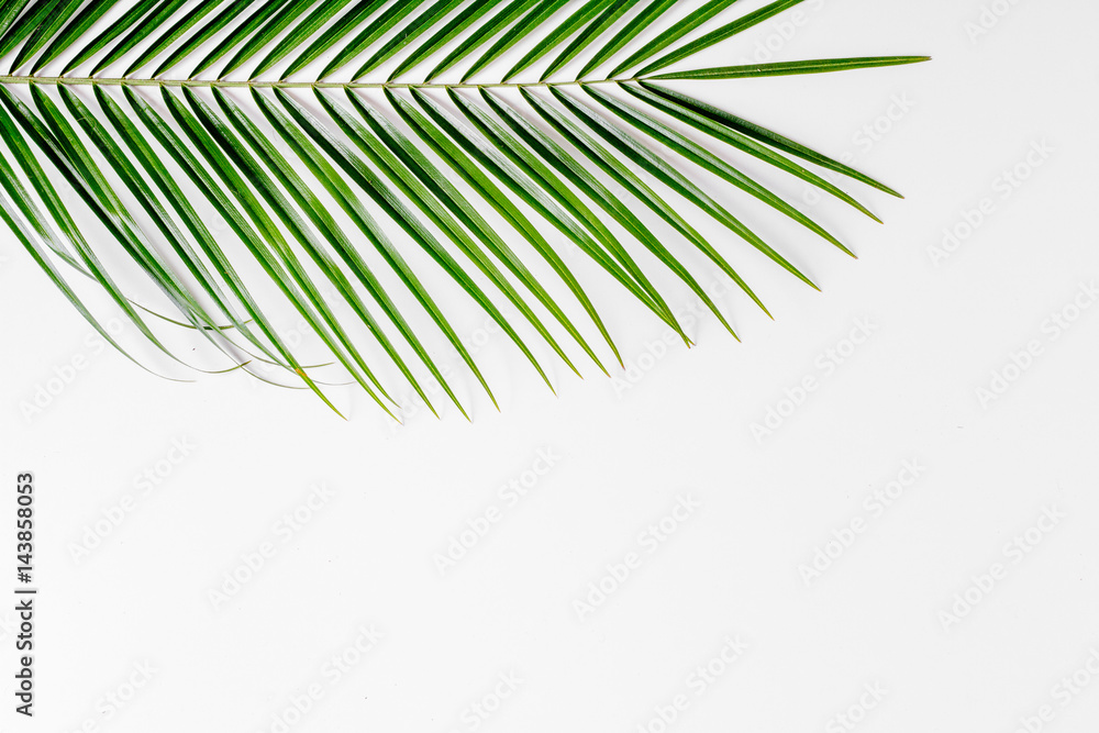 Floral pattern with green leaves on white background top view mockup